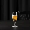 aida Ølglas > Passion Connoisseur Ølglas 2 stk. 40 cl