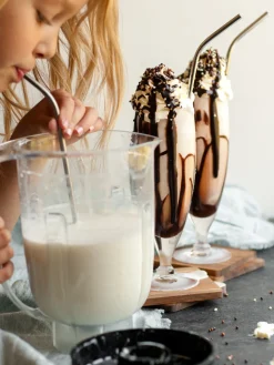 Best Ankarsrum Original Blender