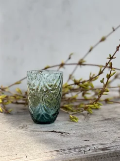 Anna von Lipa Vandglas > Wave Tumbler Drikkeglas 25 cl,