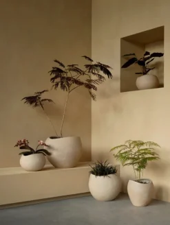 Outlet Plantas Urtepotte H, Ivory Stue|Urtepotter Og Krukker