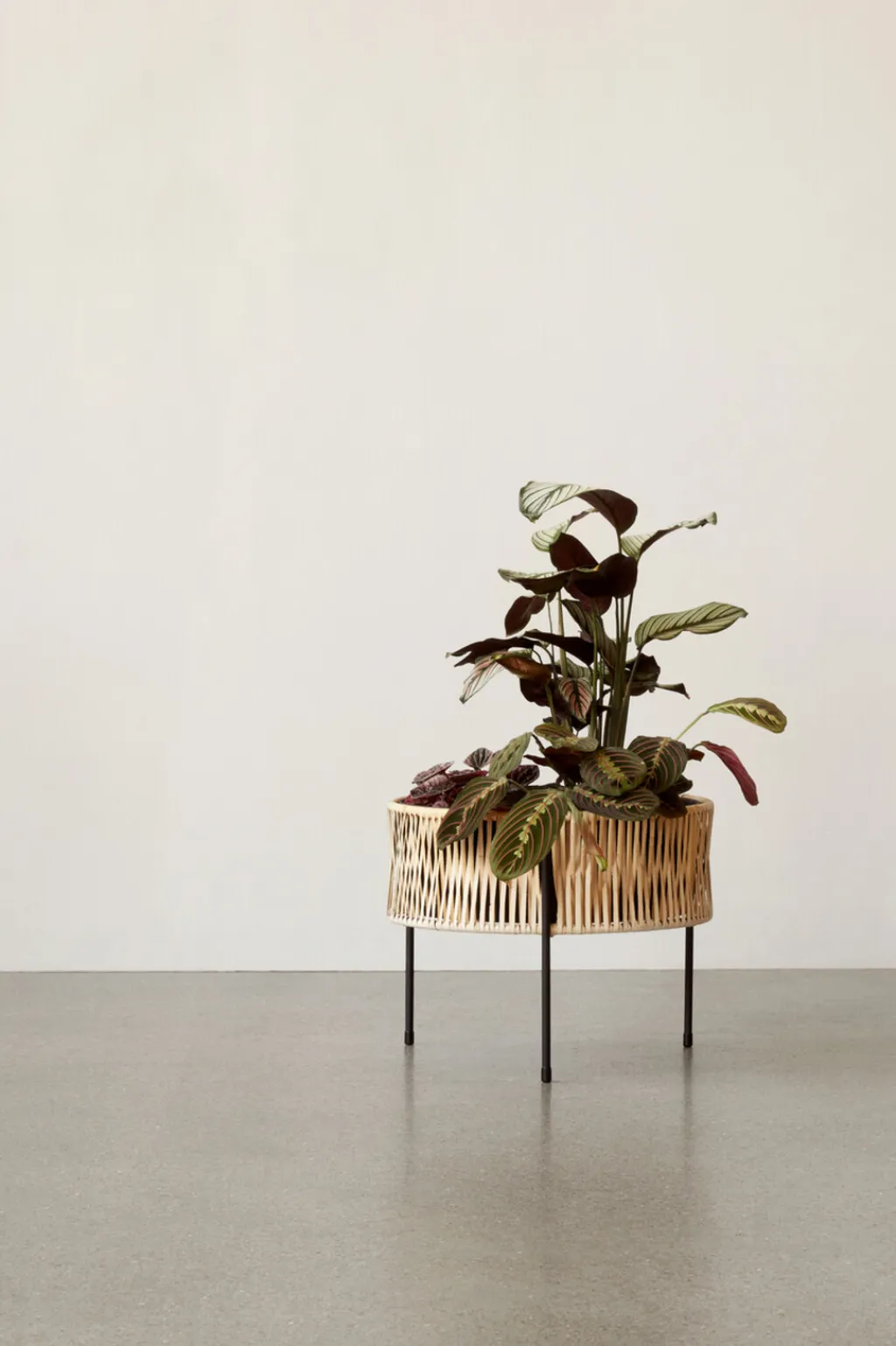 Clearance Umanoff Plantestativ H, Rattan Stue|Urtepotter Og Krukker