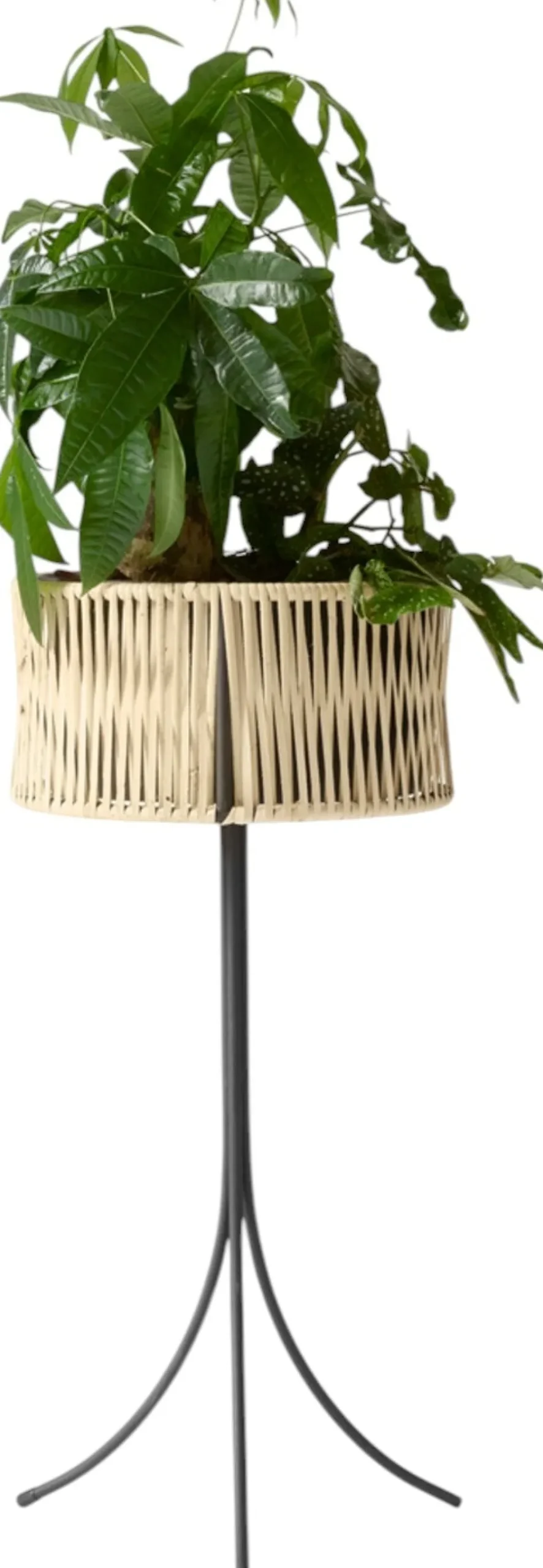 New Audo Copenhagen Umanoff Plantestativ H, Rattan
