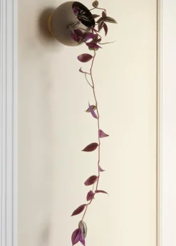 Outlet AYTM GLOBE Urtepotte Væghængt H, Taupe/Guld