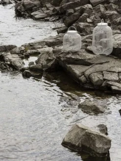 Best LITO Trådløs Lampe H, Udendørs Bordlamper|Lamper Til Haven Og Terrassen