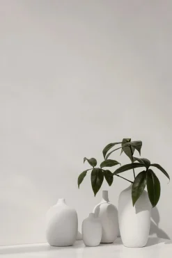 Blomus Stue|Vaser > CEOLA Vase H,