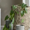 Sale Anthurium Kunstig Plante H117 cm, Grøn Stue