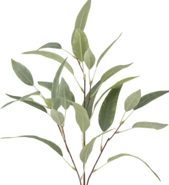 Bloomingville Stue > Eucalyptus Kunstig Stilk 85 cm,