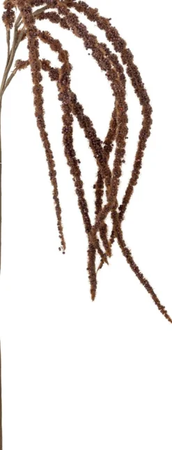 Hot Foxtail Kunstig Stilk 91 cm, Brun Stue