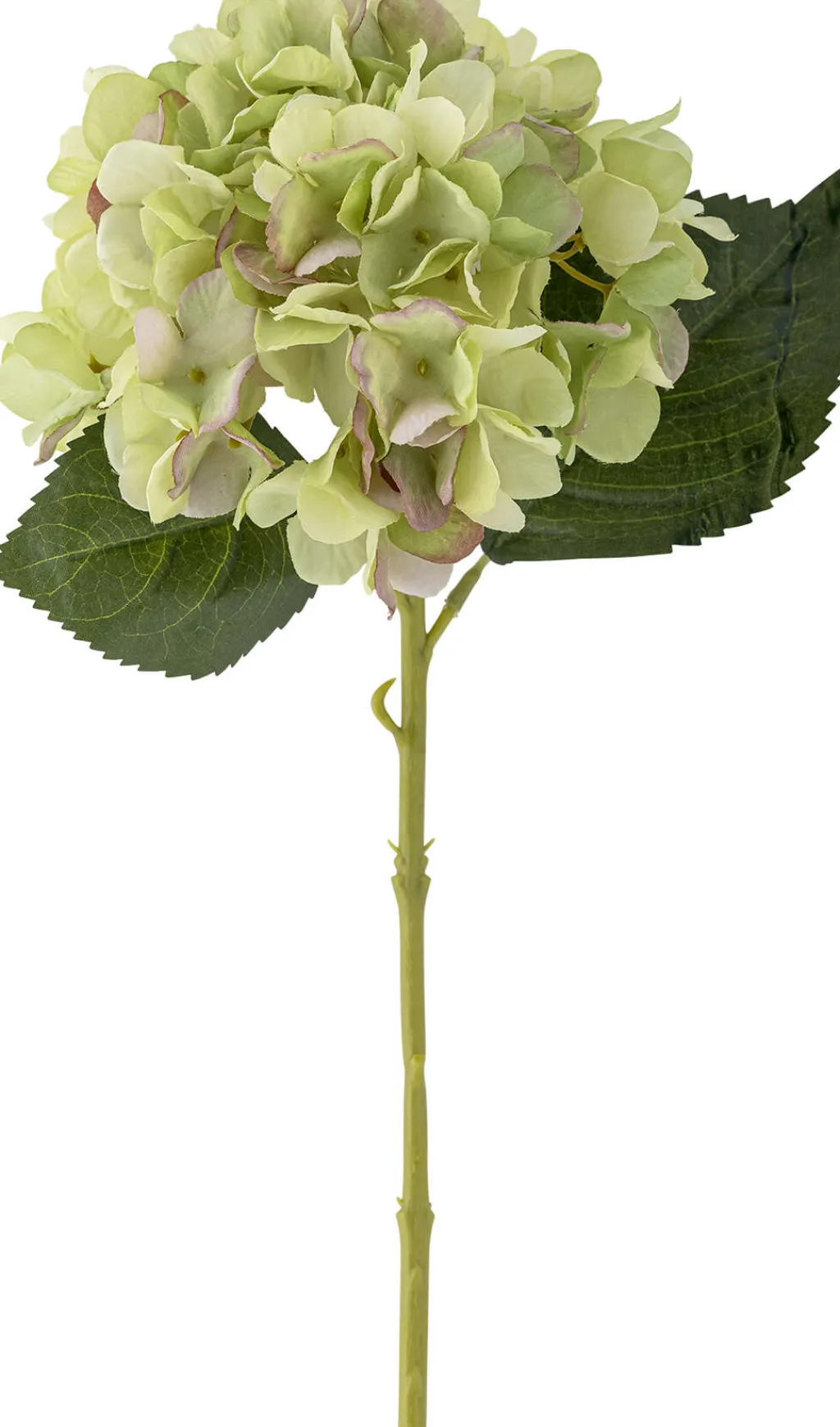 Online Hydrangea Kunstig Stilk , Hvid Stue