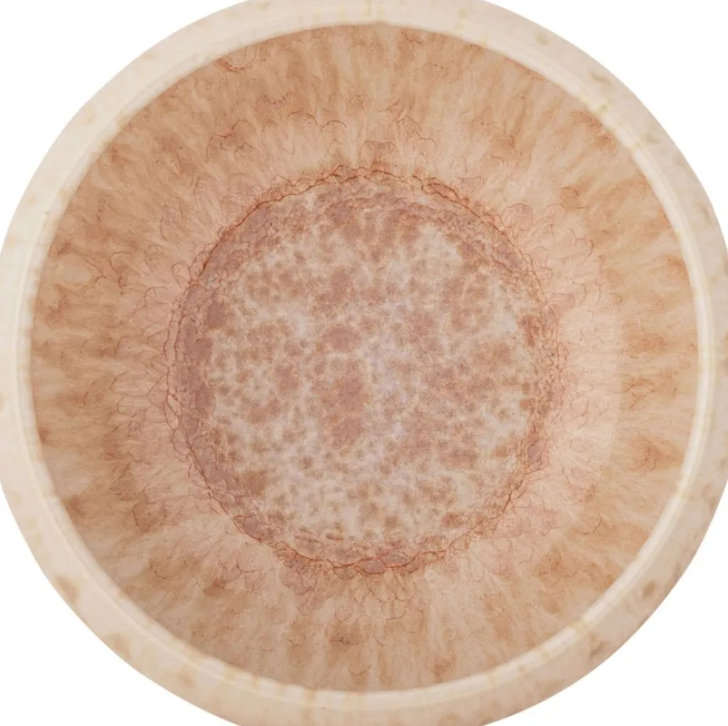 Bloomingville Skåle > Roselyn Skål 4 stk. Ø14 cm, Rosa