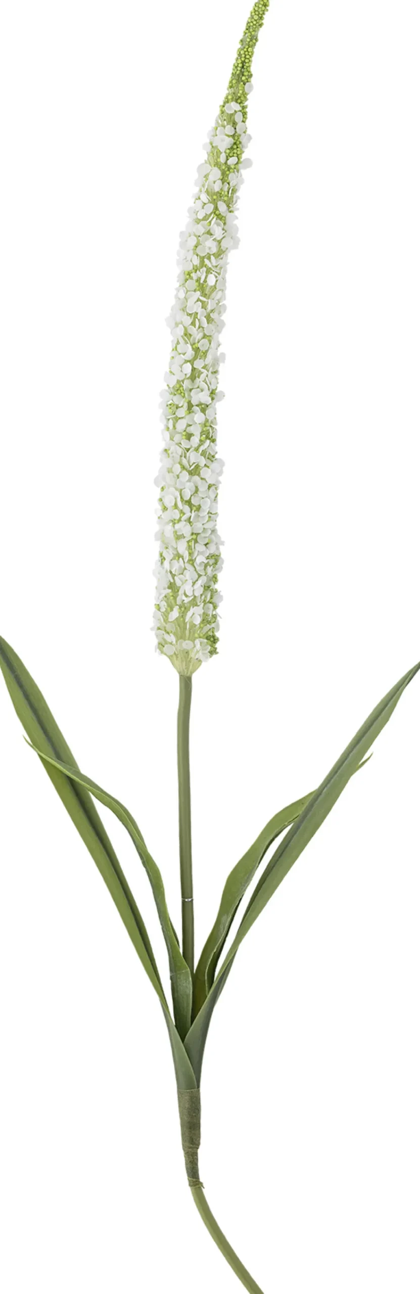Discount Foxtail Kunstig Stilk 73 cm, Stue