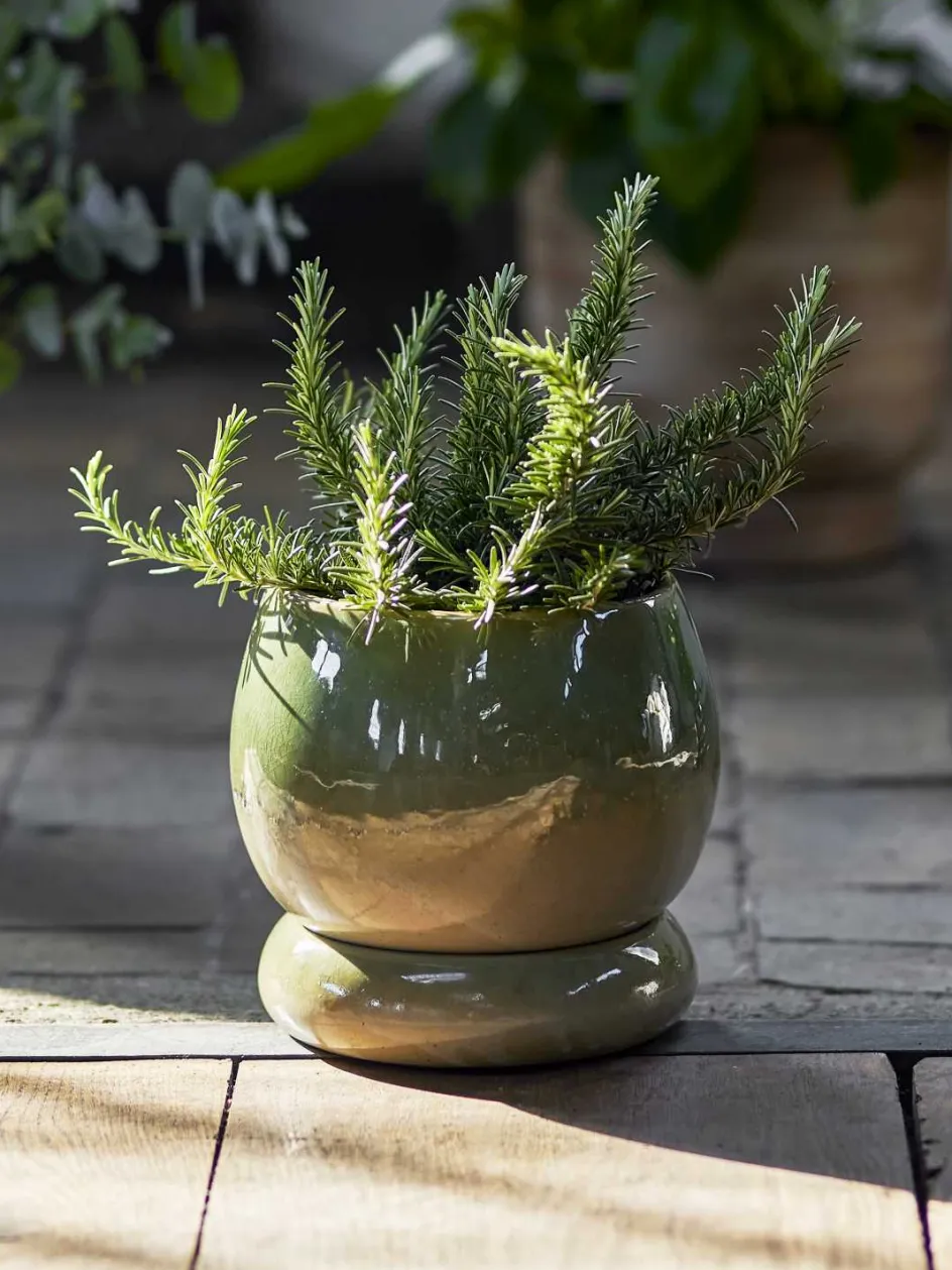 Discount Bloomingville Imke Urtepotte m. Underskål H17,5 cm, Grøn