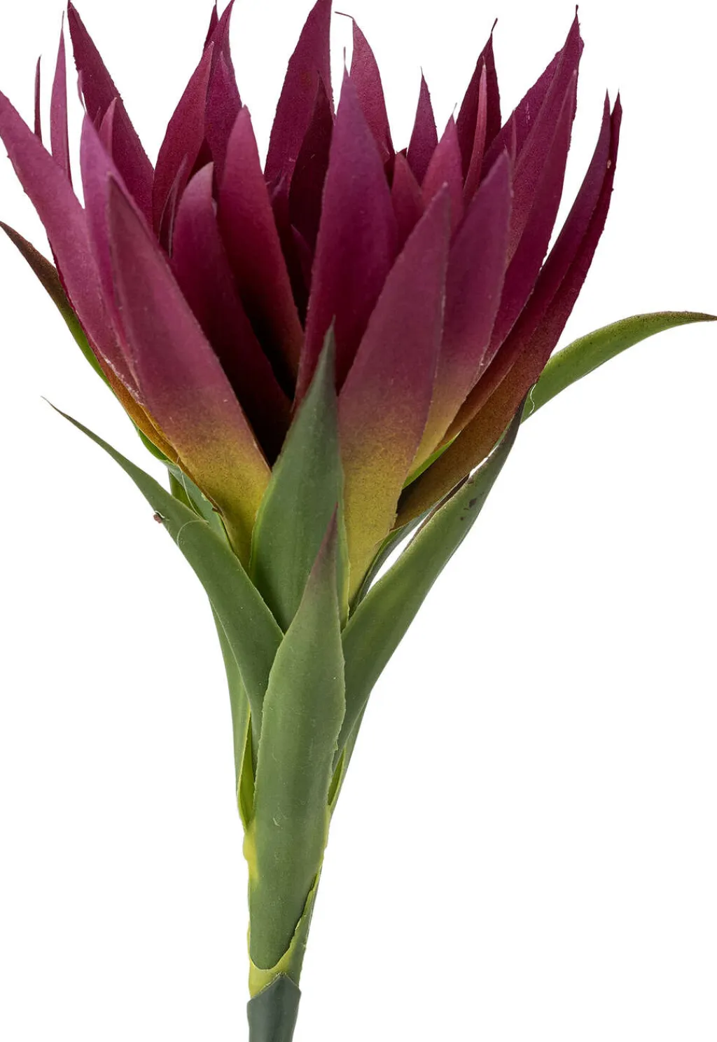 Lily Kunstig Stilk 76 cm, Stue