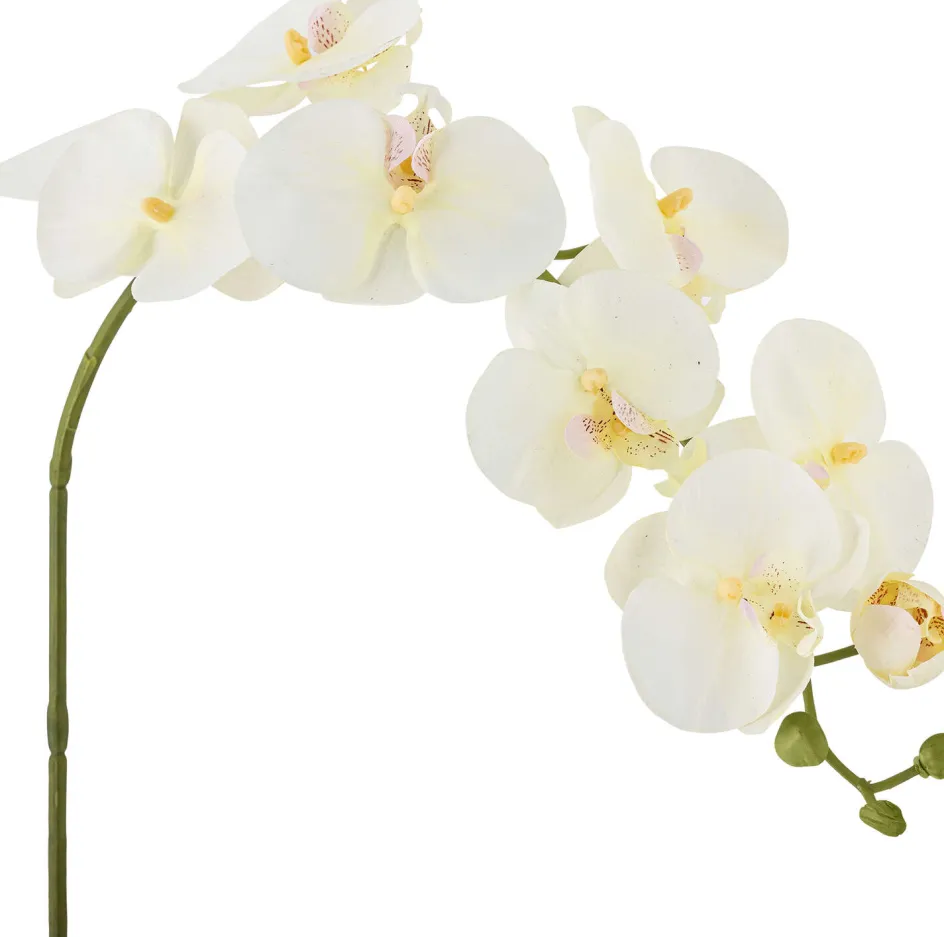 Outlet Bloomingville Orchid Kunstig Stilk , Hvid