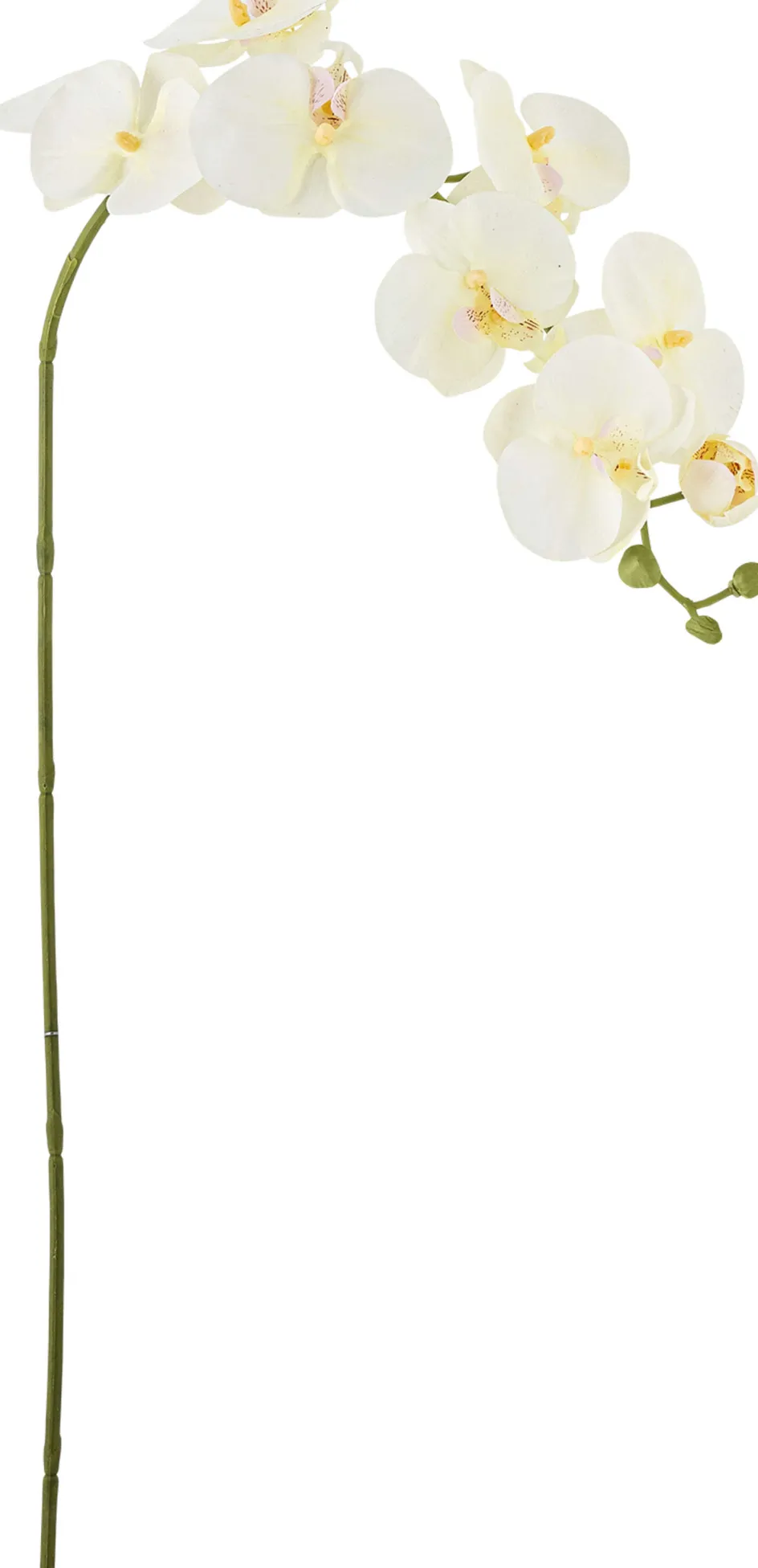 Outlet Bloomingville Orchid Kunstig Stilk , Hvid