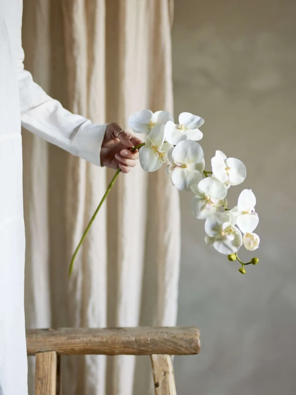 Outlet Bloomingville Orchid Kunstig Stilk , Hvid
