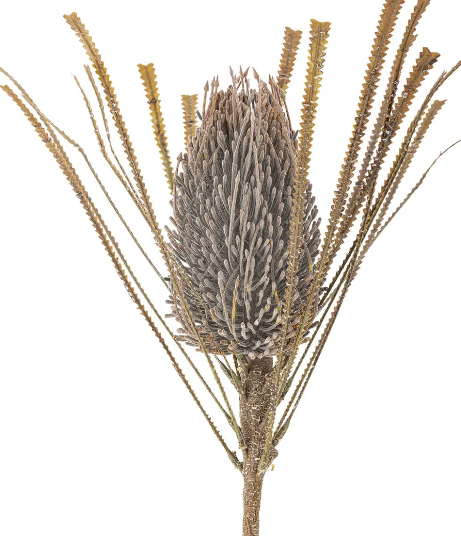 Hot Bloomingville Palmflower Kunstig Stilk 72 cm, Brun