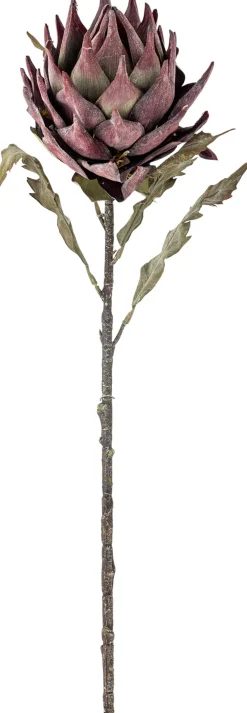 Discount Protea Kunstig Stilk 76 cm, Stue