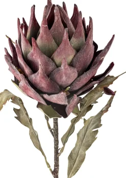 Discount Protea Kunstig Stilk 76 cm, Stue