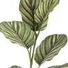 Sale Bloomingville Zebra Kunstig Stilk 79 cm, Grøn