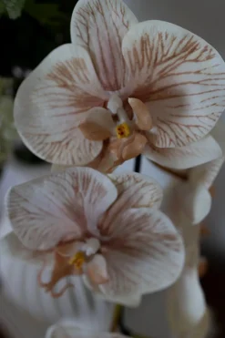 Online BLOOM OBJECTS Soft Buket Sand