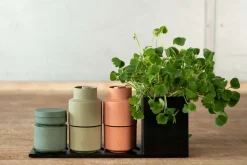 Sale CrushGrind Billund Muskatkværn H8 cm, Parsley