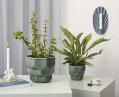 Dottir Nordic Design Samsurium Urtepotte H, Spruce