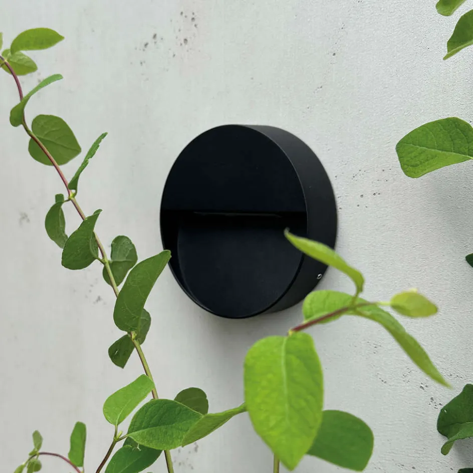 Online Dyberg Larsen Pluto Væglampe LED 15 cm, Sort