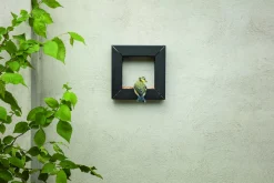Eva Solo Uderum > Frame Foderdispenser 21x21 cm, Sort