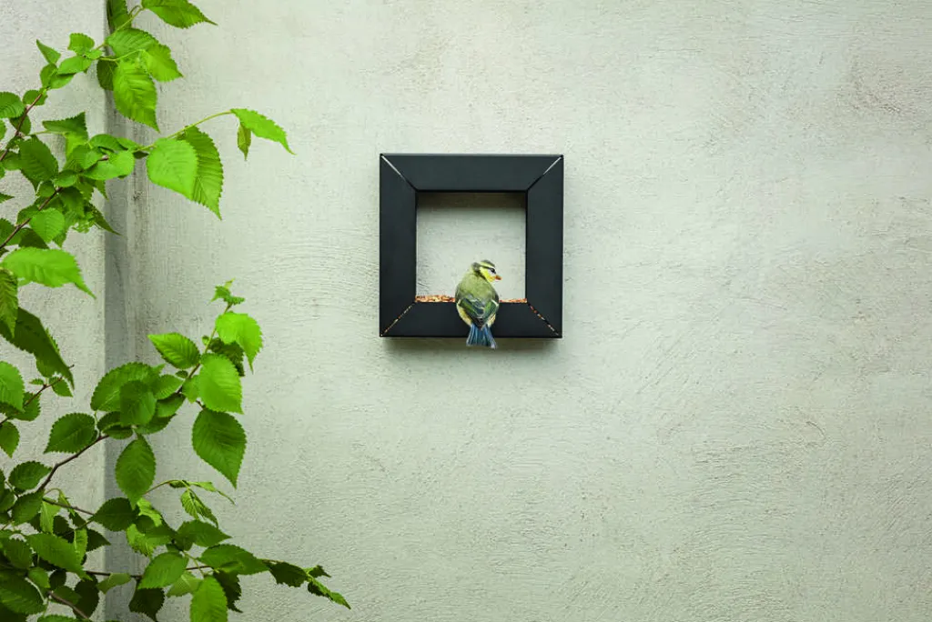 Eva Solo Uderum > Frame Foderdispenser 21x21 cm, Sort