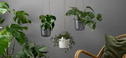 Eva Solo Stue|Urtepotter Og Krukker ><noscript><img width=