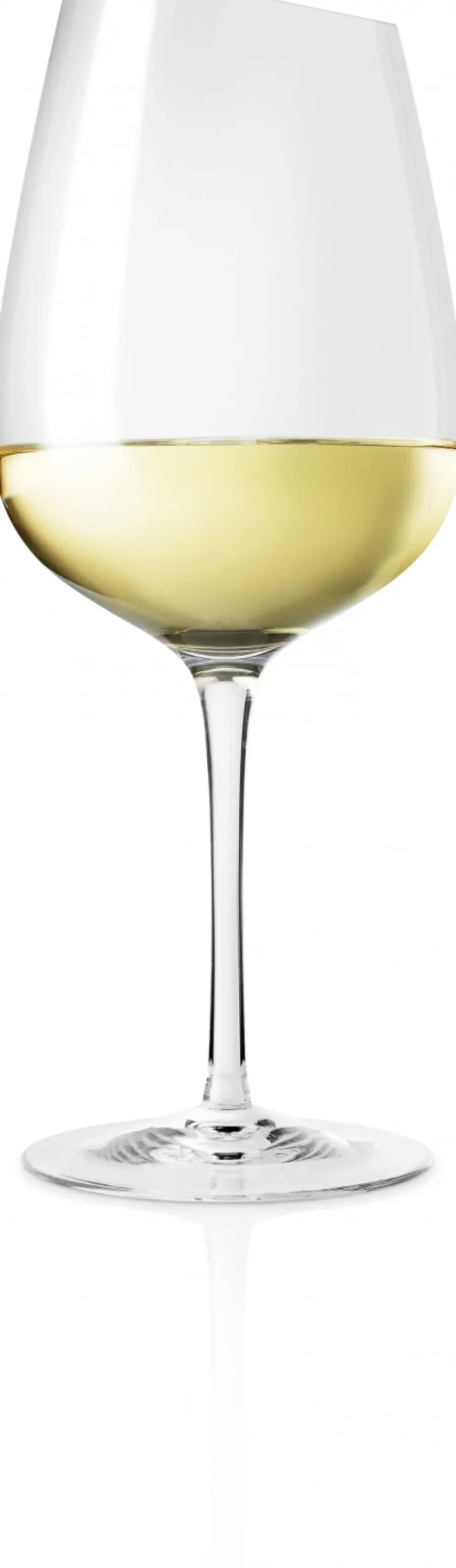 Eva Solo Vinglas|Vinglas > Magnum Vinglas