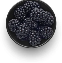 Eva Solo Skåle|Spisestue > Nordic Kitchen Skål Ø10 cm/0,15 L, Sort