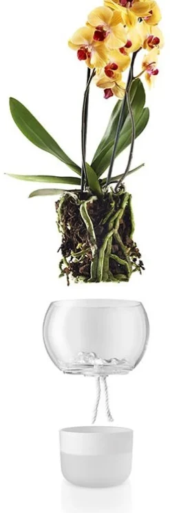 Eva Solo Stue|Urtepotter Og Krukker > Orkidépotte 15 cm, Frosted