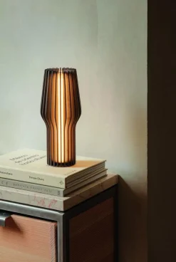 Eva Solo Lamper Til Soveværelset|Bordlamper > Radiant Trådløs Bordlampe LED H28 cm,