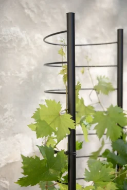 Outlet Eva Solo Simply Grow Espalier til Potteskjuler H145 cm, Sort