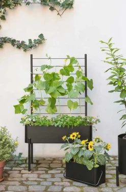 Hot Eva Solo Simply Grow Espalier til Plantekasse H102 cm, Sort