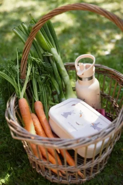 Hot FILIBABBA Drikkeflaske 350 ml, Carrot Thief