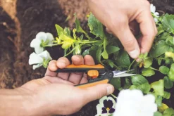 Clearance Fiskars Solid Micro Tip Beskæresaks SP130 21,5 cm