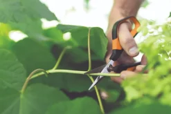 Outlet Fiskars Solid Snip Trimming Saks SP150 24 cm