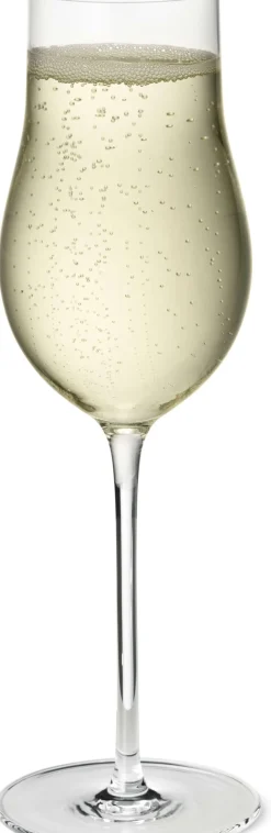 Sale Sky Champagneglas e 6 stk. 25 cl Champagneglas|Champagneglas