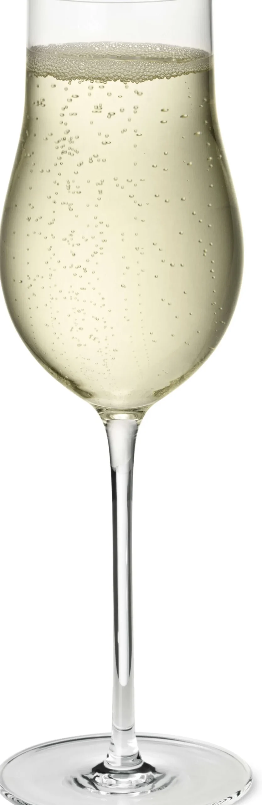 Sale Sky Champagneglas e 6 stk. 25 cl Champagneglas|Champagneglas