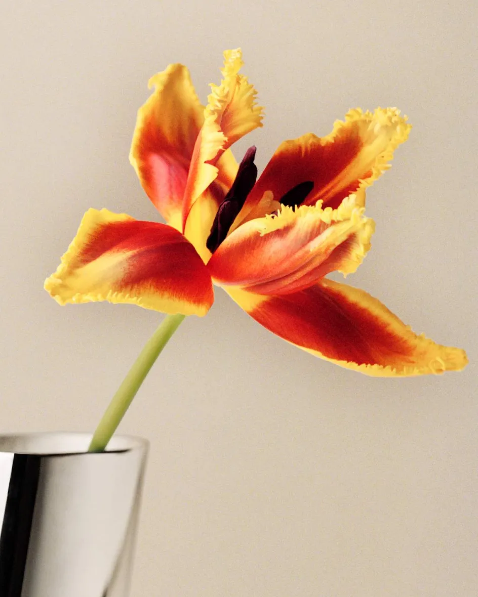 Sale Georg Jensen Lituus Vase H, Blankt Stål
