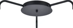 Halo Design Fatninger Og Ophænge > Roset til 4 Lamper,