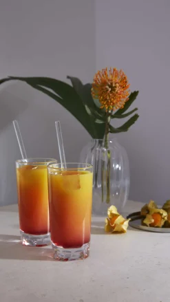 Holmegaard Drinksglas|Drinksglas > Prism Longdrinkglas 2 stk. 40 cl
