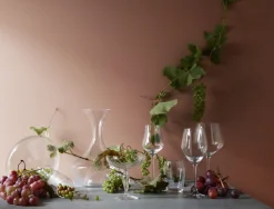 Holmegaard Champagneglas|Champagneglas > Regina Champagneskål 25 cl