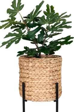 Clearance Antas Planteskjuler H28 cm, Vandhyacint Stue|Urtepotter Og Krukker