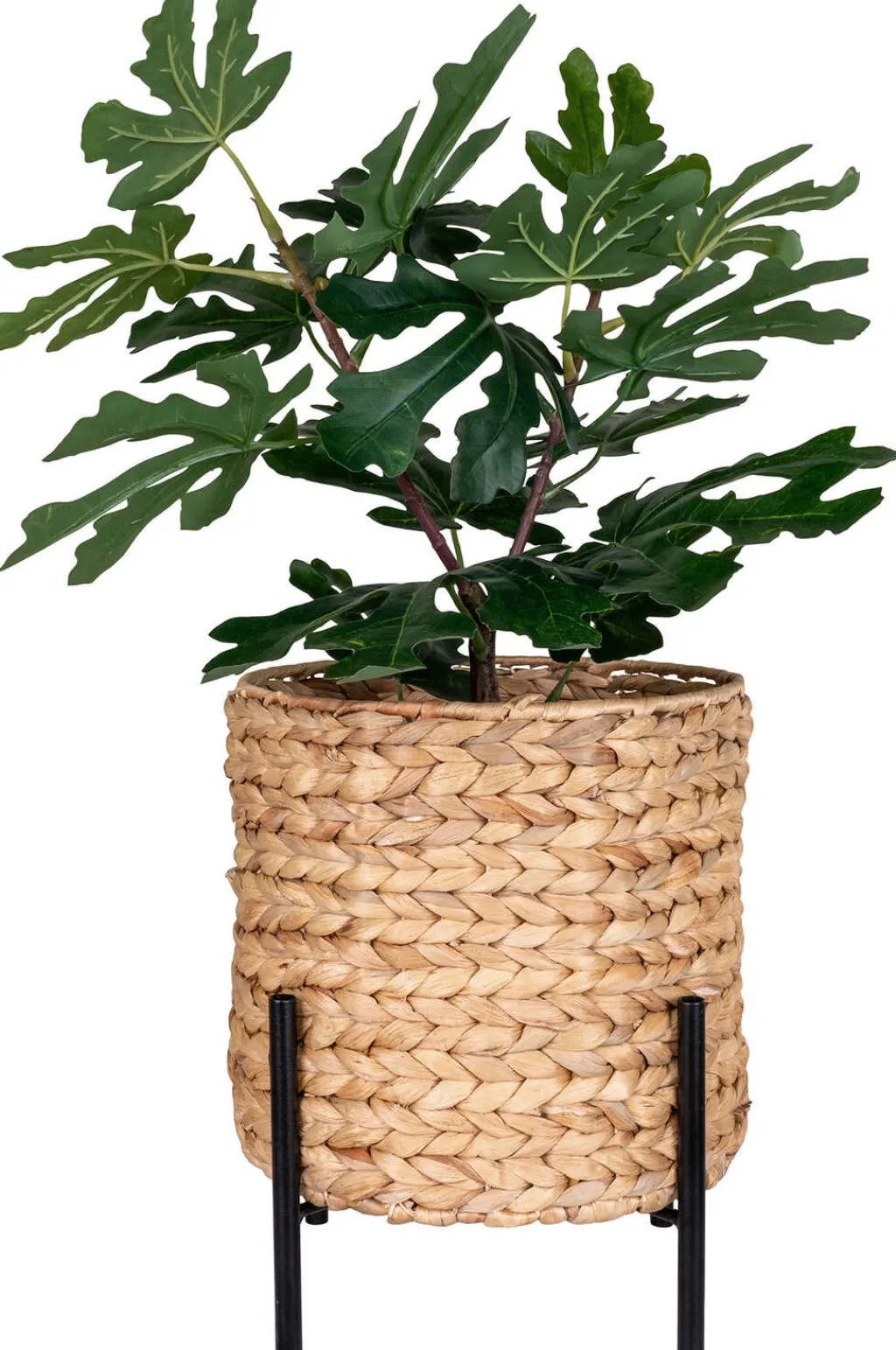 Clearance Antas Planteskjuler H28 cm, Vandhyacint Stue|Urtepotter Og Krukker
