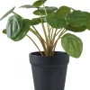 House Nordic Stue > Kunstig Pelia Plante H28 cm, Grøn