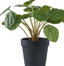 House Nordic Stue > Kunstig Pelia Plante H28 cm, Grøn